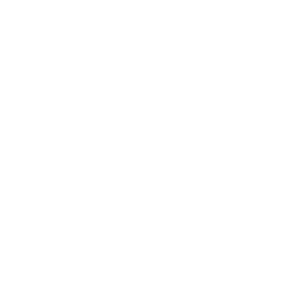 Behavioral Signals Icon White