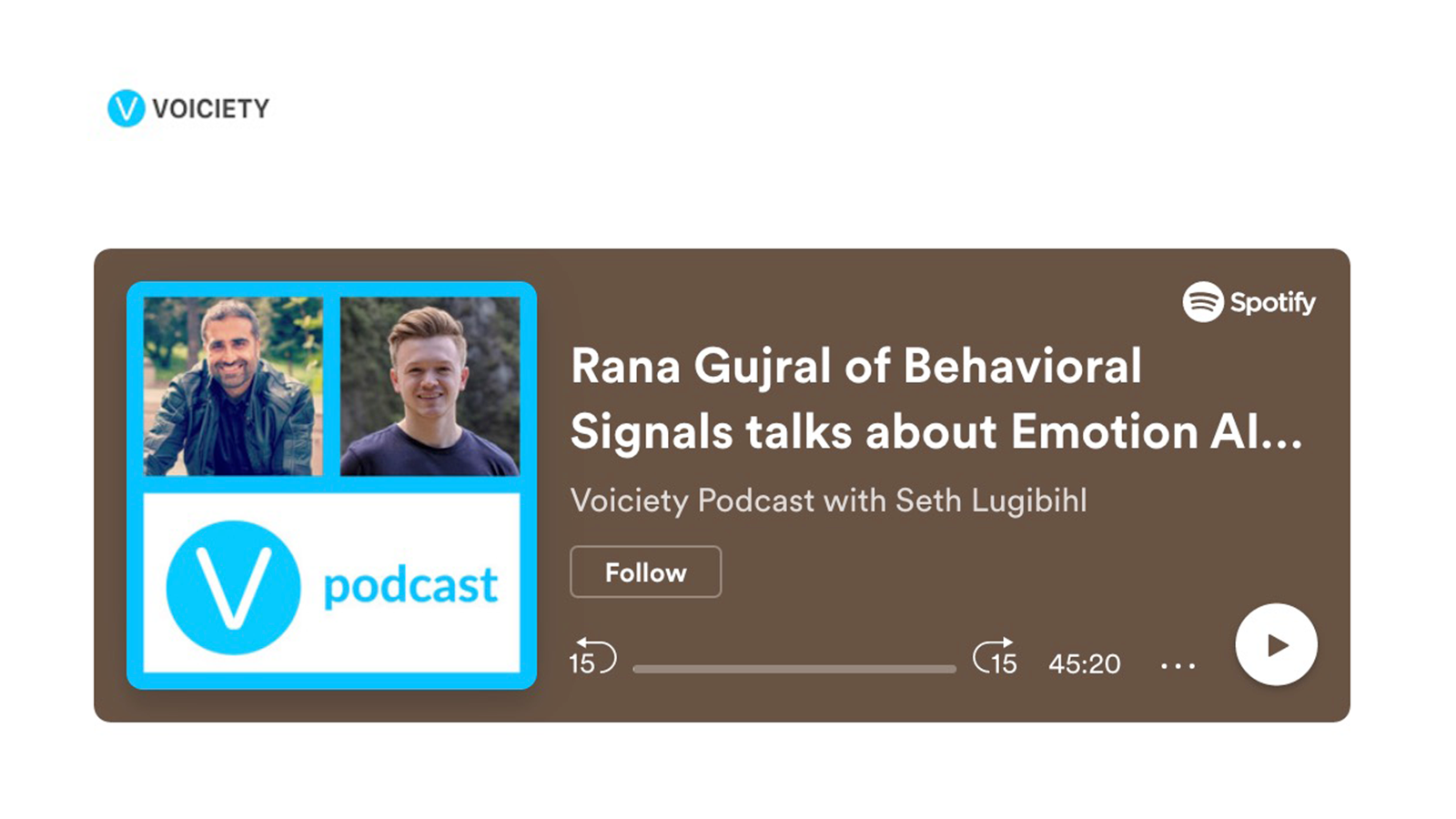 Voice Insights - Rana Gujral on Voiciety podcast